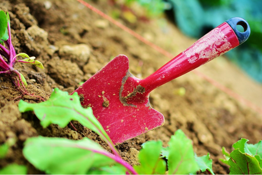 pelle a jardinage