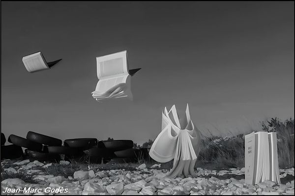 Extrait de l'exposition Livre en vie