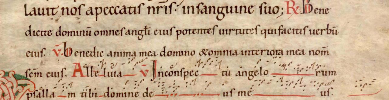 6 neumes