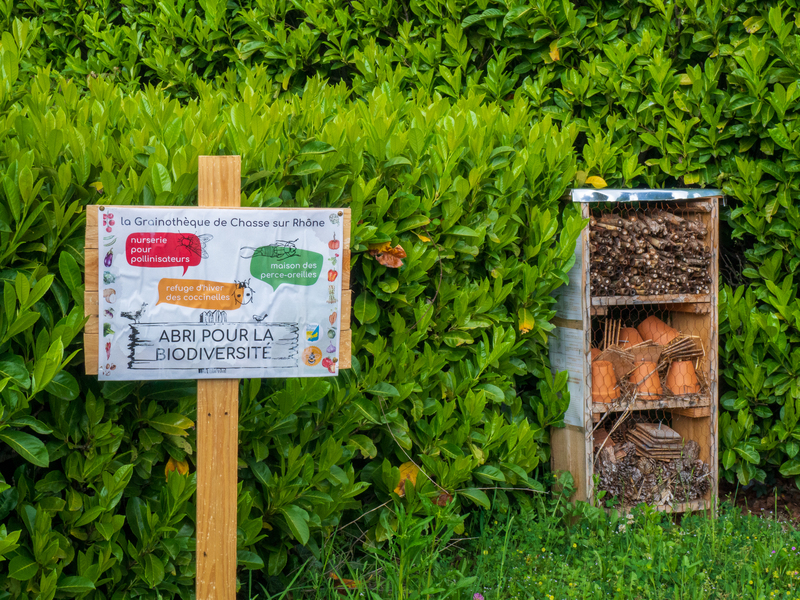 Jardin collaboratif de Chasse-sur-Rhône