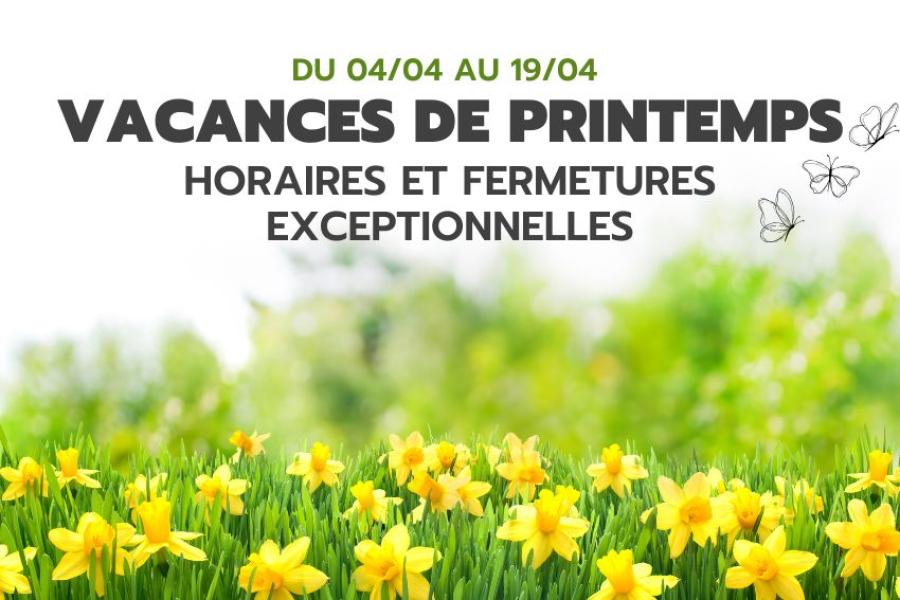 Image de jonquilles - horaires modifiés