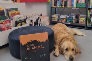 Le chien Jazz